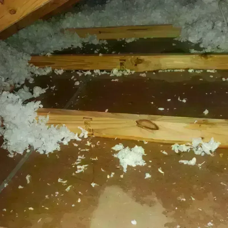 Attic Water Damage in Wrightsville, PA